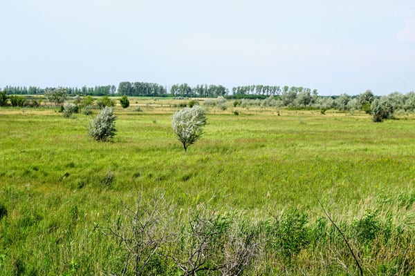 Carska Bara Special Nature Reserve, Serbia