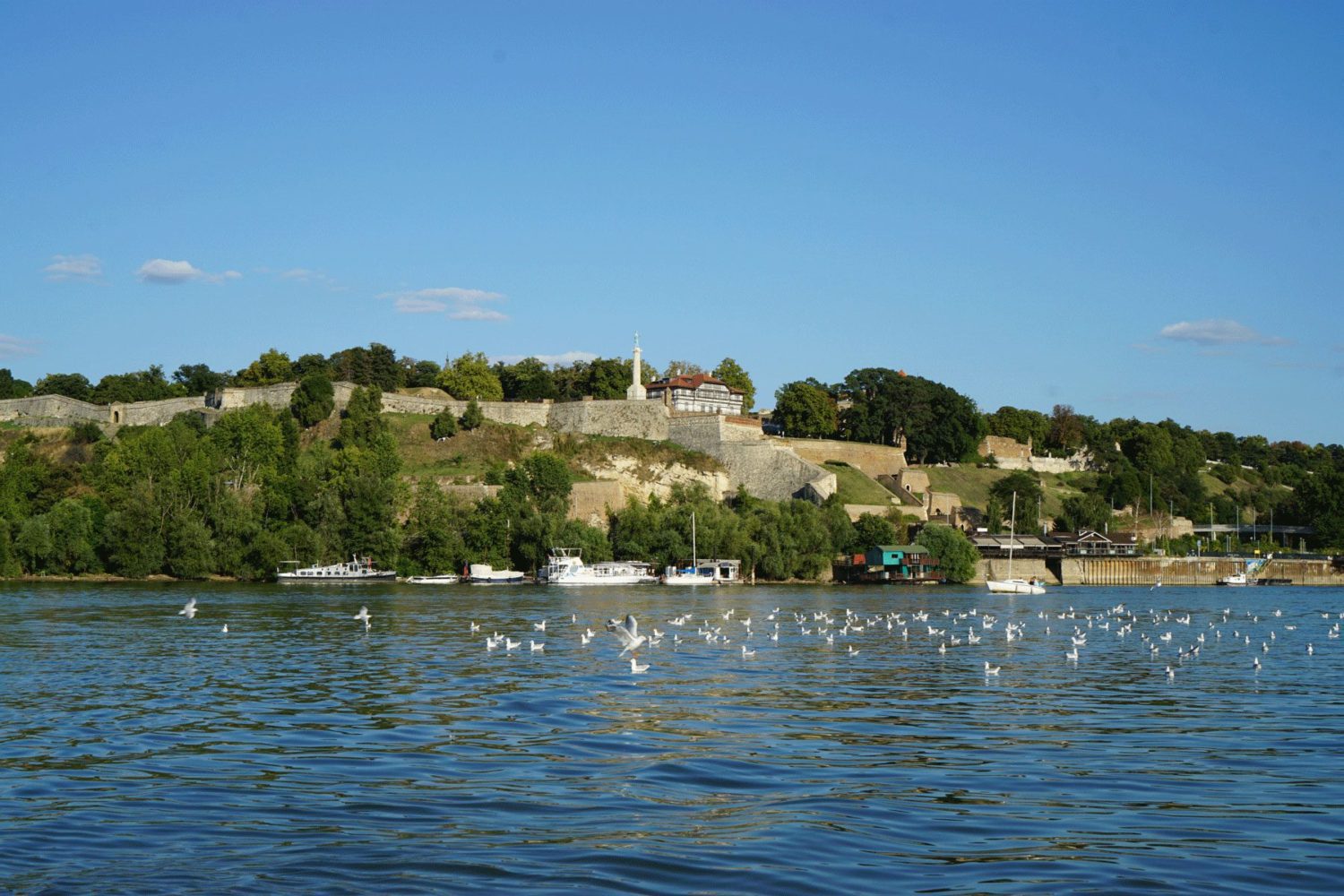 View of Belgrade from river