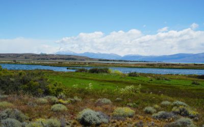 Traveling During Covid Season? These Tips Will Make Life Easier