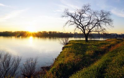 Ultimate Road Trip Along Serbia’s Danube River