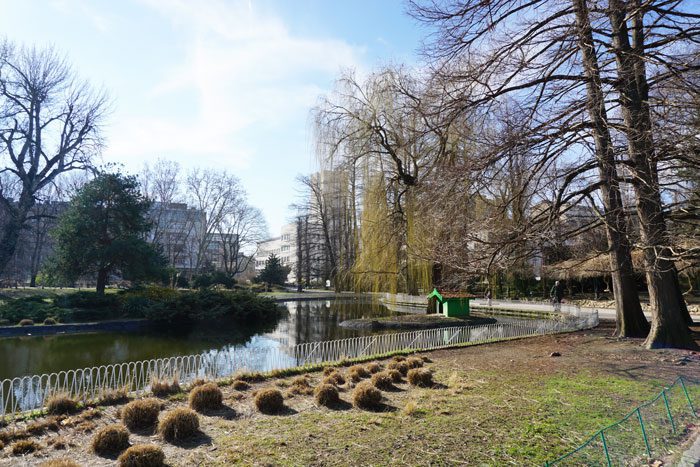 Lake in Danube Park